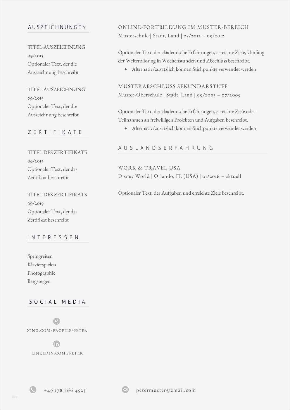 Dfg Lebenslauf Vorlage Inspiration Premium Bewerbungsmuster 11