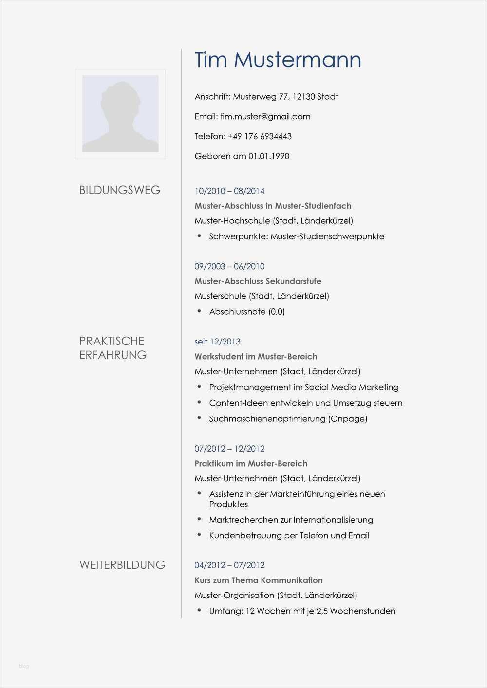 Dfg Lebenslauf Vorlage Luxus Lebenslauf Muster Für Multimediakünstler