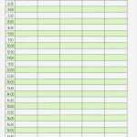 Dienstplan Vorlage Excel Monat Beste Dienstplan Praktische Vorlage Zum Ausdrucken Aus Dem