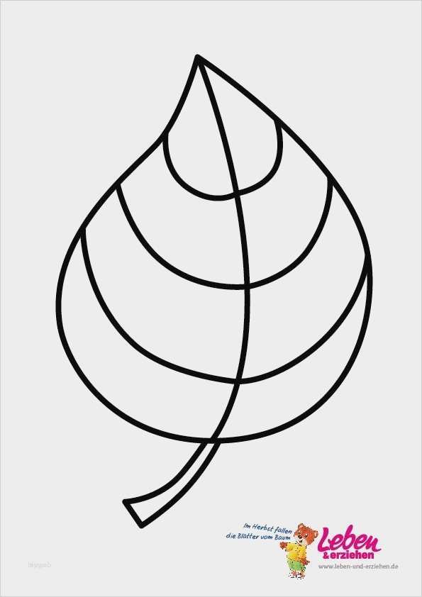 Dinosaurier Vorlagen Zum Ausschneiden Erstaunlich Blätter Vorlagen Zum Ausschneiden Inspiration Le