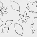 Dinosaurier Vorlagen Zum Ausschneiden Genial Blätter Vorlagen Zum Ausschneiden Fabelhaft Blätter