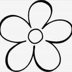 Dinosaurier Vorlagen Zum Ausschneiden Neu 19 Besten Blumen Bilder Auf Pinterest