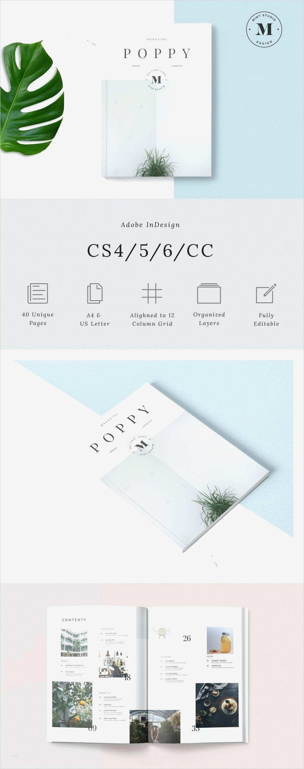 Dlrg Corporate Design Vorlagen Download Bewundernswert Groß Beste Kostenlose Indesign Vorlagen Fotos Ideen
