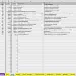Doppelte Buchführung Excel Vorlage Fabelhaft Schön Excel Vorlage Buchhaltung Bilder Entry Level