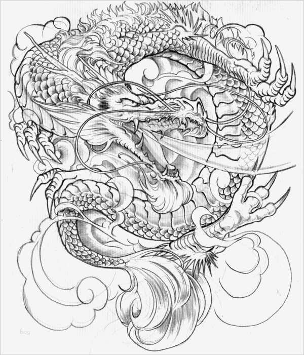 Drachen Tattoo Vorlagen Cool Tattoo Vorlagen 60 Kostenlose Tiermotive Tattoovorlagen