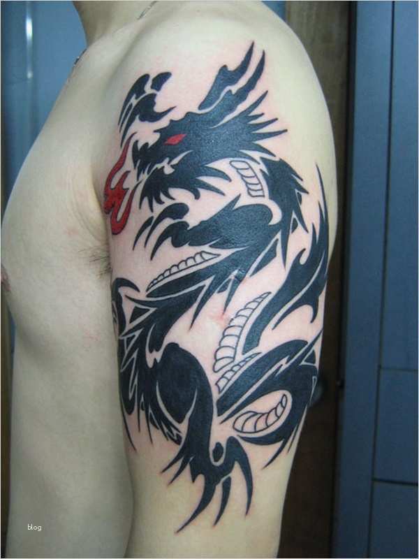 Drachen Tattoo Vorlagen Schönste 40 Coole Drachen Tattoo Vorlagen