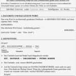 Drehbuch Vorlage Pdf Gut Ungewöhnlich Microsoft Drehbuch Vorlage Galerie Beispiel