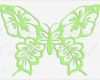 Dxf Vorlagen Einzigartig Schmetterling Papier Svg Datei Dxf Datei Schnitt Vorlage