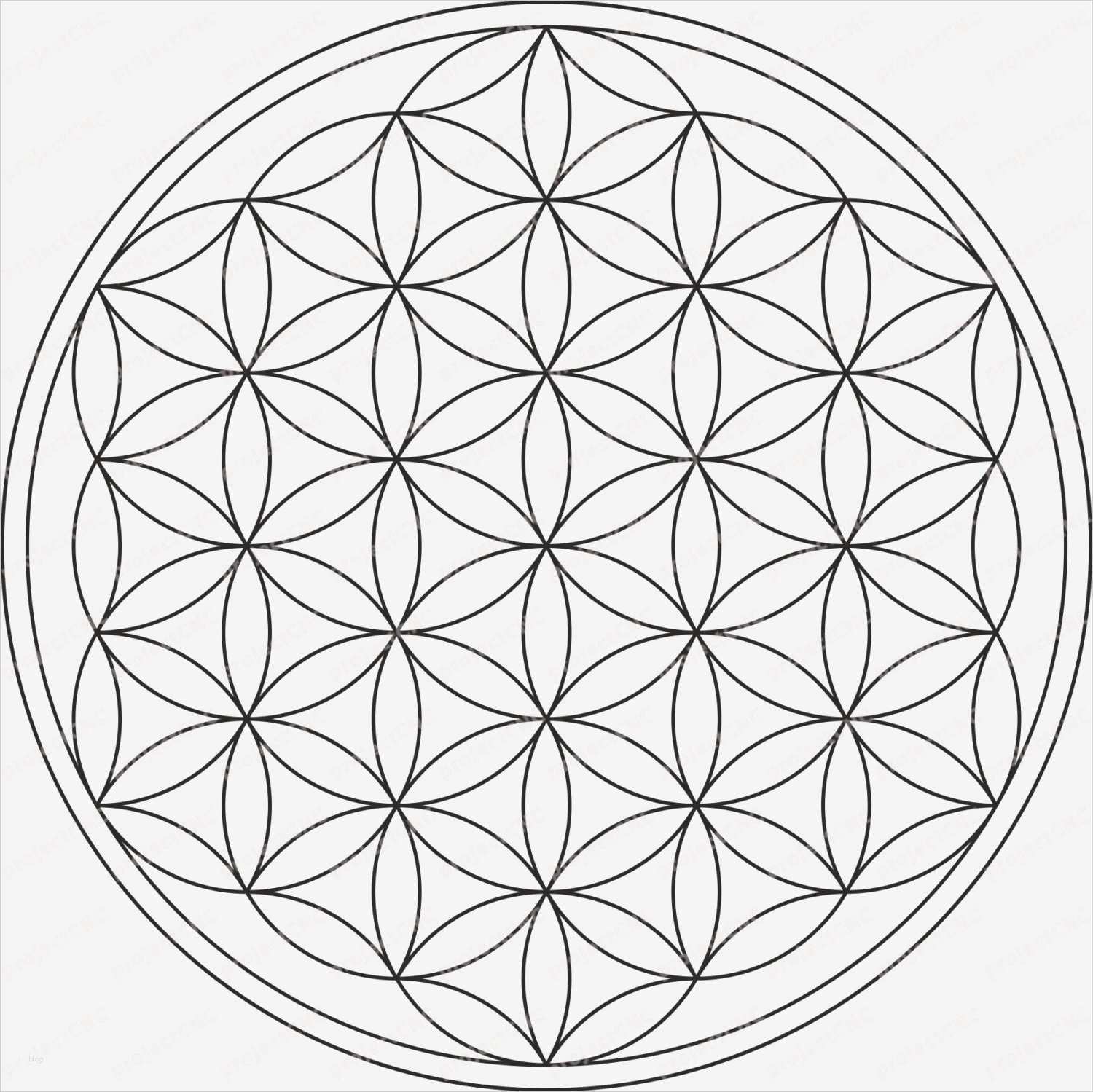 Dxf Vorlagen Laserschneiden Beste Flower Life ornament Ivy Nature Frame Cnc Cut File