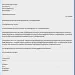 E Mail Bewerbung Vorlage Wunderbar Beste Vorlage Für Die Qualitätskontrolle Ideen Beispiel