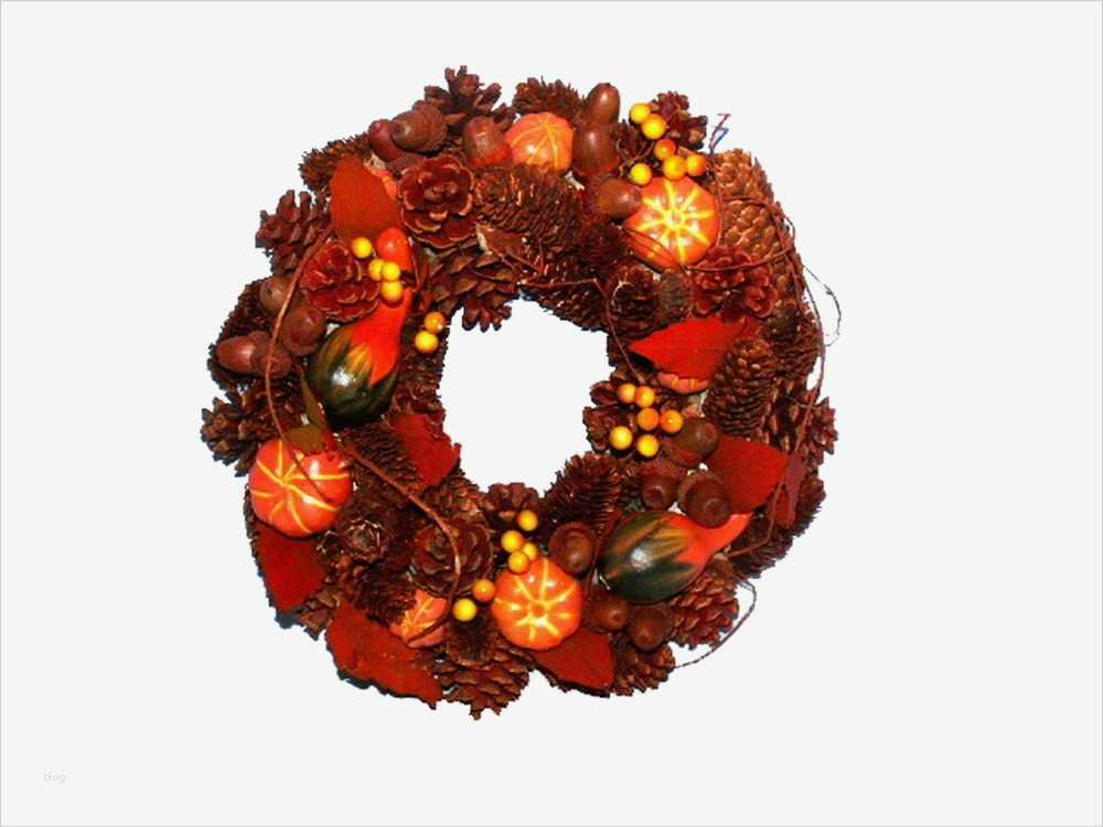 64 Inspiration Ebay Agb Vorlage Foto 1 Ebay Agb Vorlage Gut Türkranz Türdeko Kranz Kürbis Zapfen Herbst Kränze