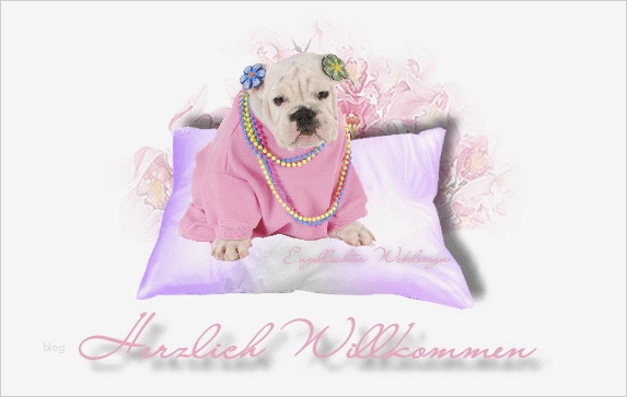 Ebay Artikelbeschreibung HTML Vorlage Best Of Ebay Vorlage