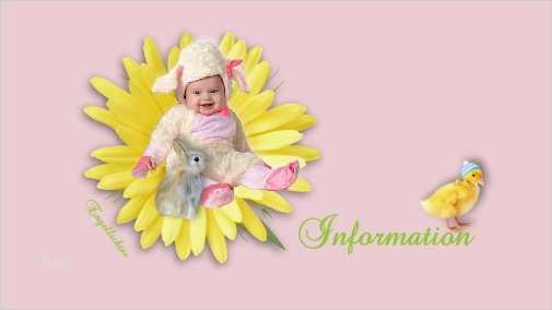 Ebay Artikelbeschreibung HTML Vorlage Erstaunlich Ebay Vorlage