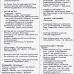 Ebay Bewertung Vorlage Fabelhaft Ausgezeichnet Kurs Beurteilung Vorlage Fotos Vorlagen