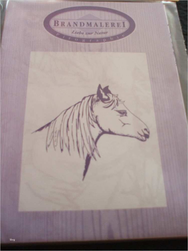 Ebay Vorlagen Neu Brandmalerei Vorlagen "tiere" Neu
