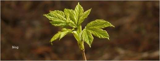 Eheversprechen Vorlagen Hübsch Eheversprechen Gebrochen Rückgabe Der Geschenke