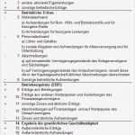 Einfache Gewinn Und Verlustrechnung Vorlage Erstaunlich atemberaubend Einfache Gewinn Und Verlustrechnung Vorlage