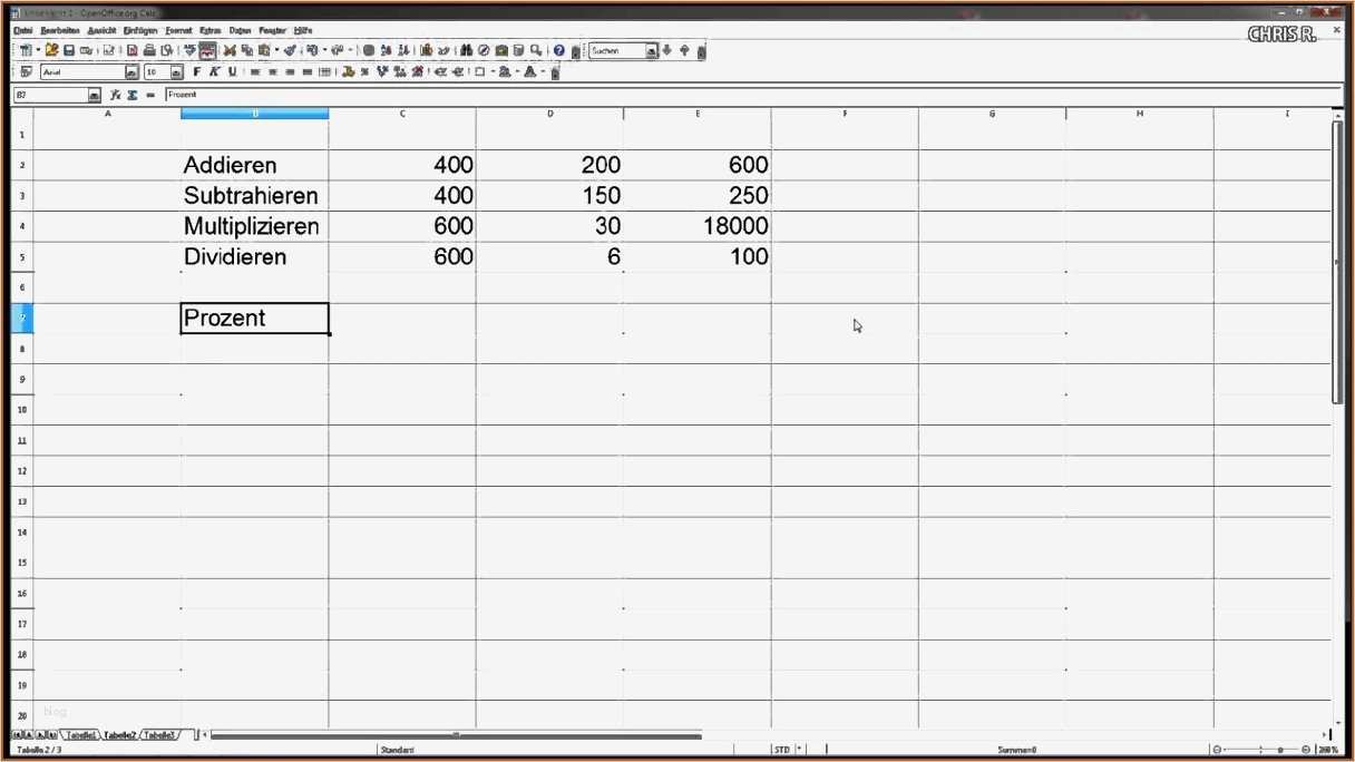 Einfache Gewinn Und Verlustrechnung Vorlage Erstaunlich Berühmt Einfacher Gewinn Und Verlust Vorlage Excel