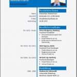 Einfacher Lebenslauf Vorlage Fabelhaft Lebenslaufmuster Kostenlos