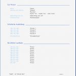 Einfacher Lebenslauf Vorlage Word Luxus Prawi Ficewelt Produkte