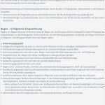 Eingewöhnung Abschlussgespräch Vorlage Einzigartig Downloadmaterialien Beltz Verlag Weinheim Und Basel Pdf