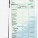 Einkommensteuererklärung Vorlage Wunderbar Anlage Kap 2006