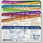 Einladungskarten Boarding Pass Vorlage Luxus Einladungskarten Geburtstag Flugticket Ticket Boarding