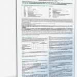 Einnahme überschuss Rechnung Vorlage Einzigartig Anleitung Einnahme Überschuss Rechnung 2012 • De