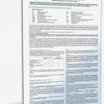 Einnahme überschuss Rechnung Vorlage Einzigartig Anleitung Einnahme Überschuss Rechnung 2012 • De