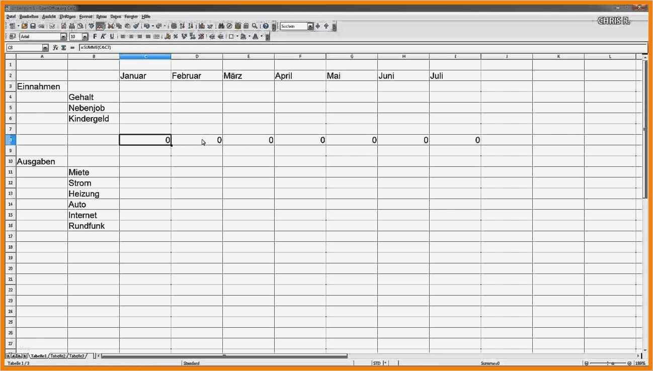 Einnahmen Ausgaben Vorlage Zum Ausdrucken Wunderbar 8 Einnahmen Ausgaben Vorlage Zum Ausdrucken