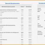 Einnahmen überschuss Rechnung Vorlage Pdf Erstaunlich 9 Einnahmen überschuss Rechnung Vorlage