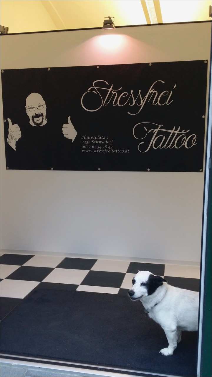 Einverständniserklärung Fitnessstudio Probetraining Vorlage Cool Tattoo Stressfreitattoo