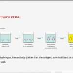 Einverständniserklärung Hiv Test Vorlage Bewundernswert Ria and Elisa