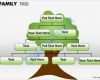 Einverständniserklärung Hiv Test Vorlage Neu Family Tree 1 14 Powerpoint Shapes