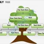 Einverständniserklärung Hiv Test Vorlage Neu Family Tree 1 14 Powerpoint Shapes