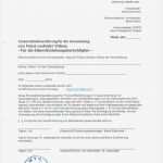 Einverständniserklärung Kind Urlaub Vorlage Bewundernswert Gemütlich formular Für Die Einverständniserklärung Der