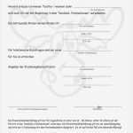 Einverständniserklärung Kind Urlaub Vorlage Einzigartig Einverständniserklärung Kind Urlaub Vorlage – Rari