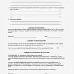 Einverständniserklärung Kind Urlaub Vorlage Wunderbar Information &amp; Reisetagebuch