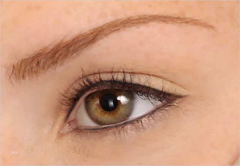 Einverständniserklärung Vorlage Permanent Make Up Wunderbar Permanent Make Up – Kosmetik Leicht