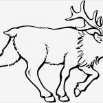 Elch Vorlage Best Of Gehender Elch Ausmalbild & Malvorlage Tiere