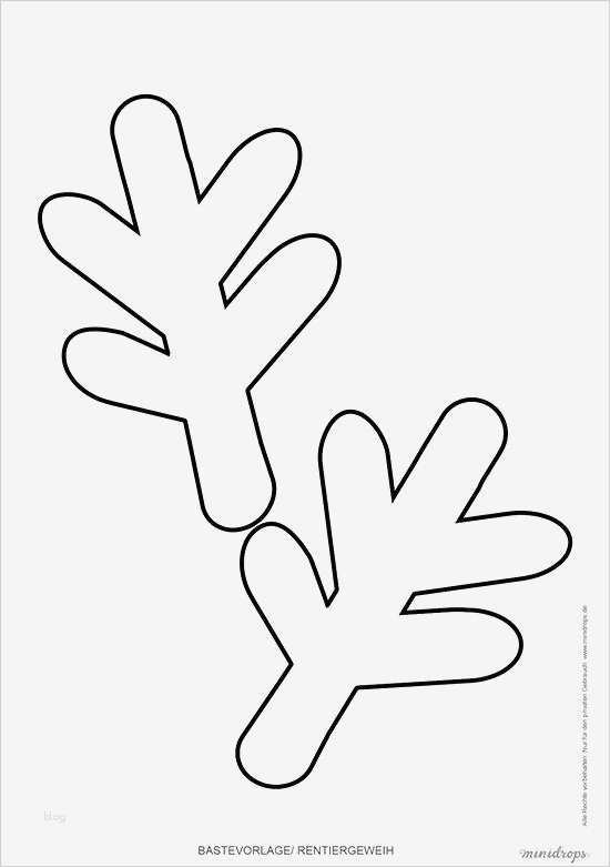 Elch Vorlage Einzigartig Elch Basteln Vorlage Adventskalender Elch Rentier Das