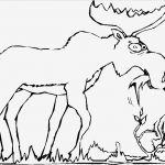 Elch Vorlage Schön Elch Am Fressen Ausmalbild & Malvorlage Ics