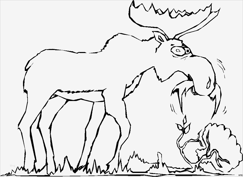 Elch Vorlage Schön Elch Am Fressen Ausmalbild & Malvorlage Ics