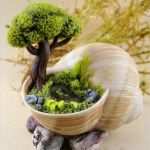 Elfenohren Vorlage Genial Die Besten 25 Elfen Ideen Auf Pinterest