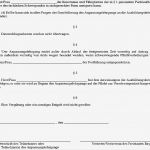 Elternzeit Vorzeitig Beenden Wegen Mutterschutz Vorlage Genial Druckvorschau Bürgerservice