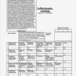 Energiebericht Vorlage Süß Muster Gefährdungsbeurteilung Bürokaufmann Frau