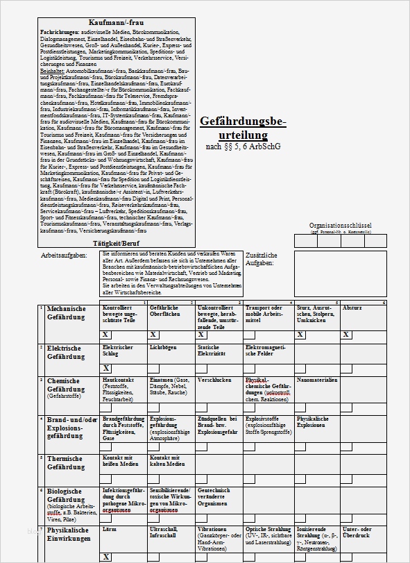 Muster Gefährdungsbeurteilung Bürokaufmann frau