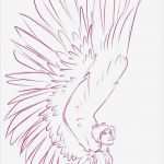 Engel Zeichnen Vorlagen Best Of 94 Besten Anjo Bilder Auf Pinterest