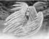Engel Zeichnen Vorlagen Bewundernswert Zeichnen Lernen Tutorial Engel Federn Fl Gel Himmel – Ich