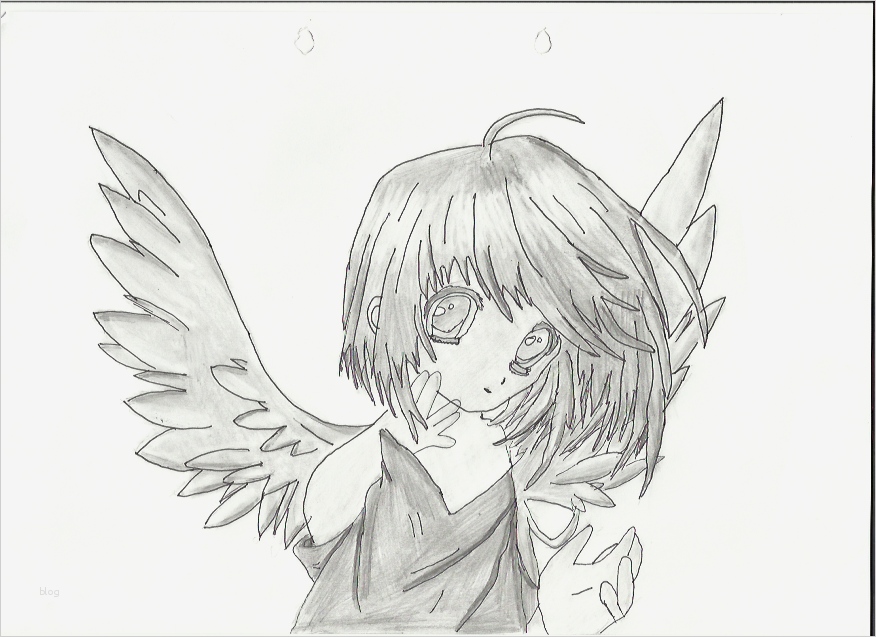 Engel Zeichnen Vorlagen Cool Aly S Zeichnungen Fanart Filbboard
